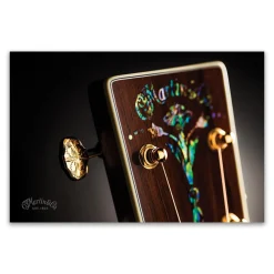 New Abalone Headstock Poster Collectibles & Gifts