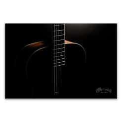 Custom Shop Silhouette Poster Collectibles & Gifts