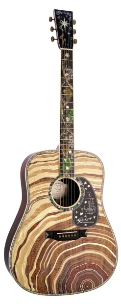 Hot D-300 New Models|Custom & Special Editions