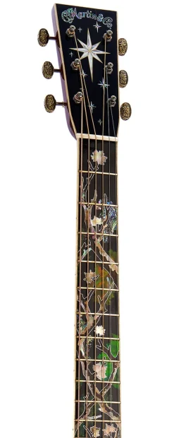Hot D-300 New Models|Custom & Special Editions