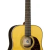 Hot D-28 Billy Strings New Models|Custom & Special Editions
