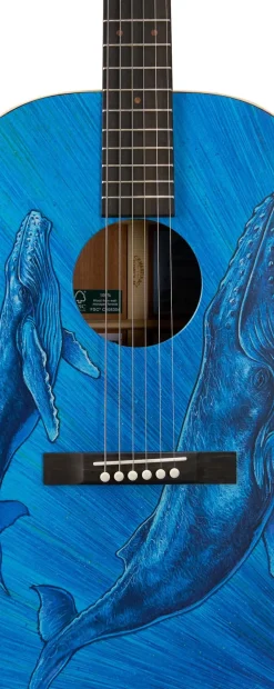 Outlet DSS Biosphere® II Custom & Special Editions|D - Dreadnought