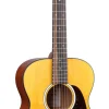 000JR-10E Shawn Mendes Custom & Special Editions