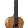 Sale T1 Uke Tenor Body